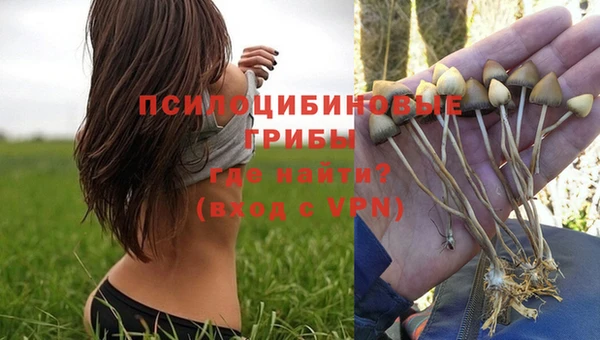 бутират Бородино